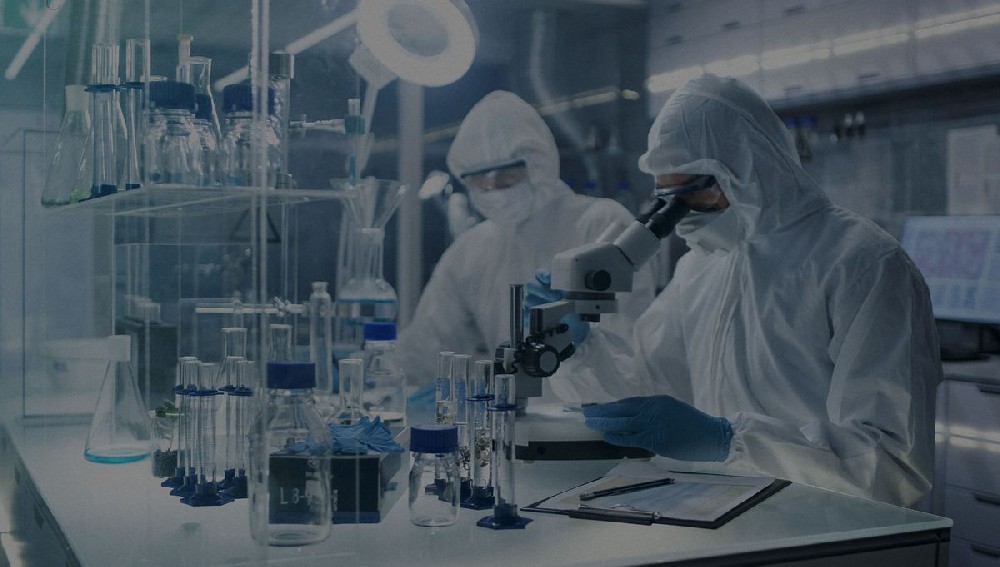 2022上半年新食品原料動态盤點