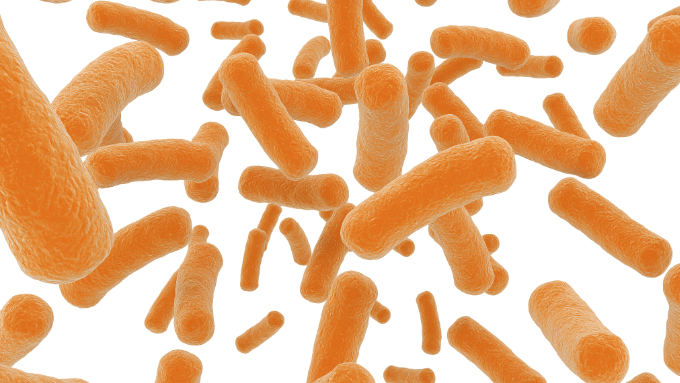 益生元準備好(hǎo)迎接它的黃金時期了嗎？