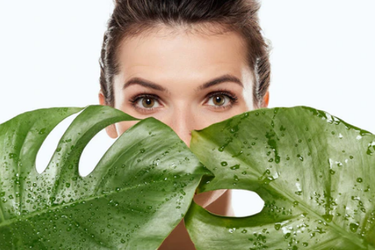 1703733172189311.png QQ截圖20231122154626.png